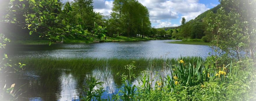 Cwmtillery