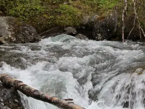 Bubbelen