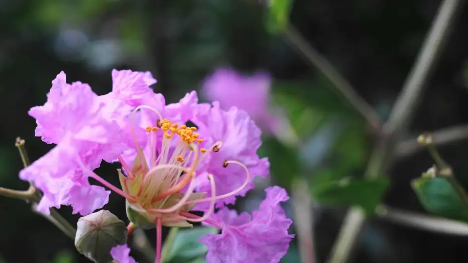2_Setagaya Castle Site Park