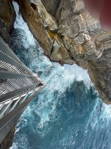 Port Macquarie to Albany Flights