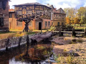 Киногород Piligrim Porto