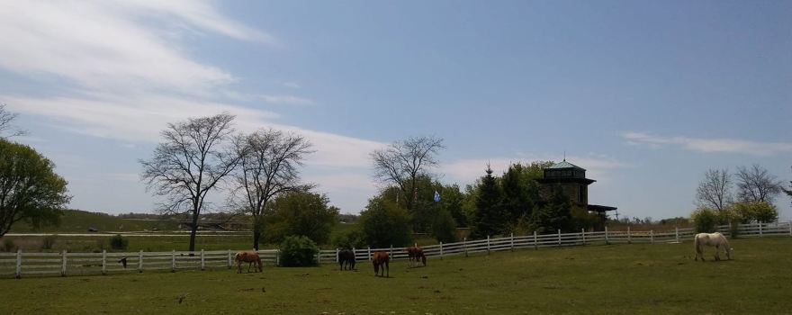 Dan Patch Stables