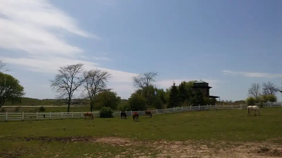 1_Dan Patch Stables