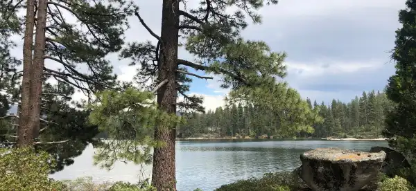 Hotels in Shaver Lake