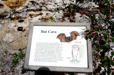 The Bat's Cave