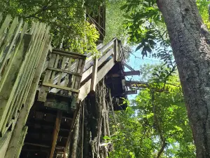 Falealupo Canopy Walk