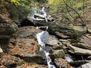 Lye Brook Falls