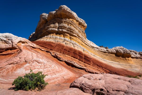 vlucht Phoenix naar Page