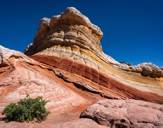 佩吉 自由行套票