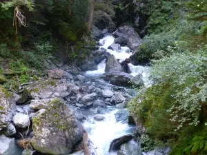 Gorges of the Diosaz