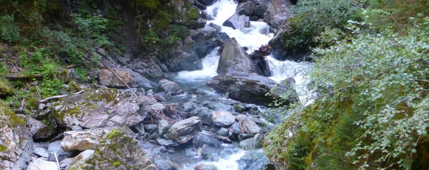 Gorges of the Diosaz