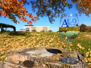 Alto Vineyards