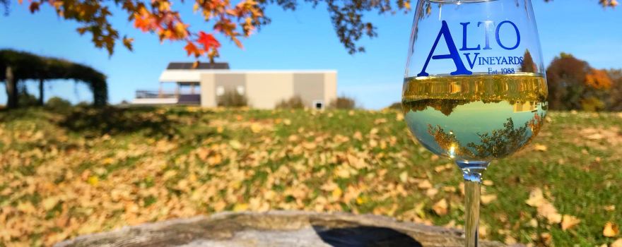 Alto Vineyards