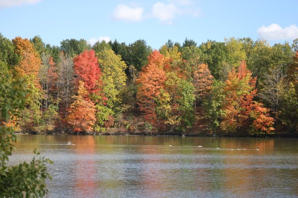Milne Dam Conservation Park
