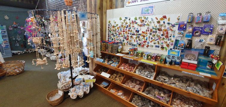 The Griffiths Sea Shell Museum and Marine Display