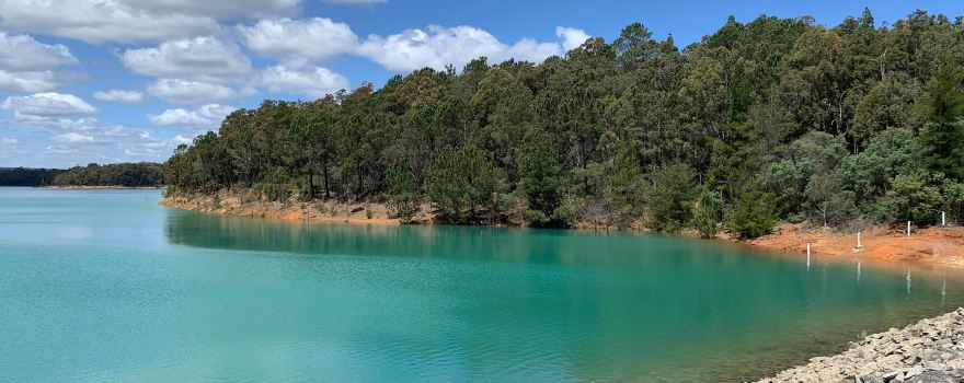 Logue Brook Dam
