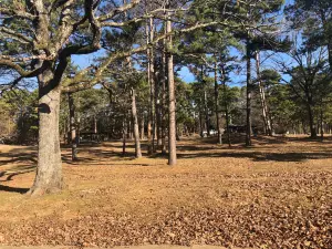 Lake Wister State Park
