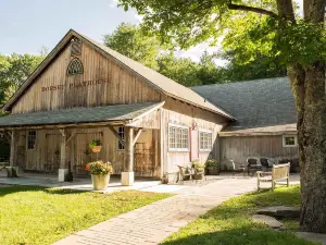 Dorset Theatre Festival