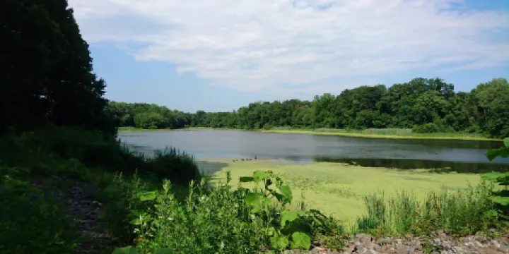 Twin Lakes County Park