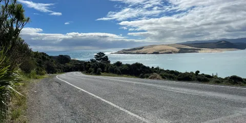 Opo the Dolphin Statue