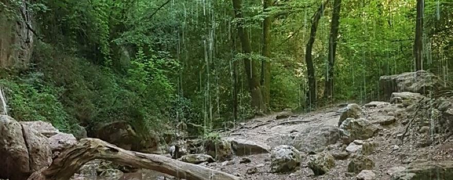 Bagnols-en-Foret