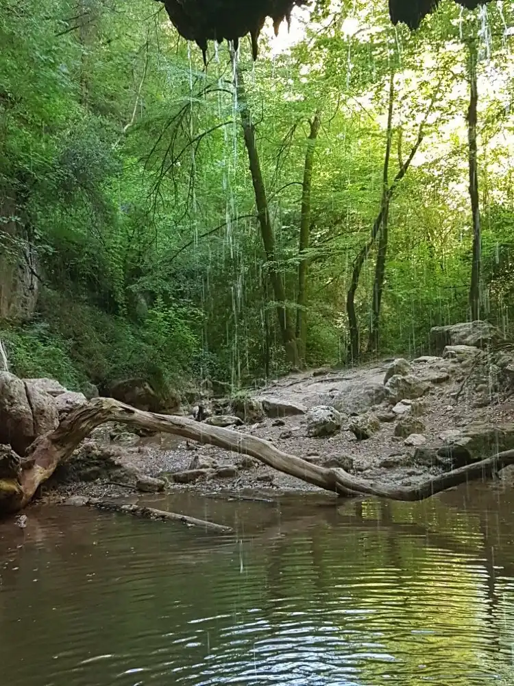 Bagnols-en-Foret