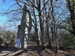Menhir de Ceinturat