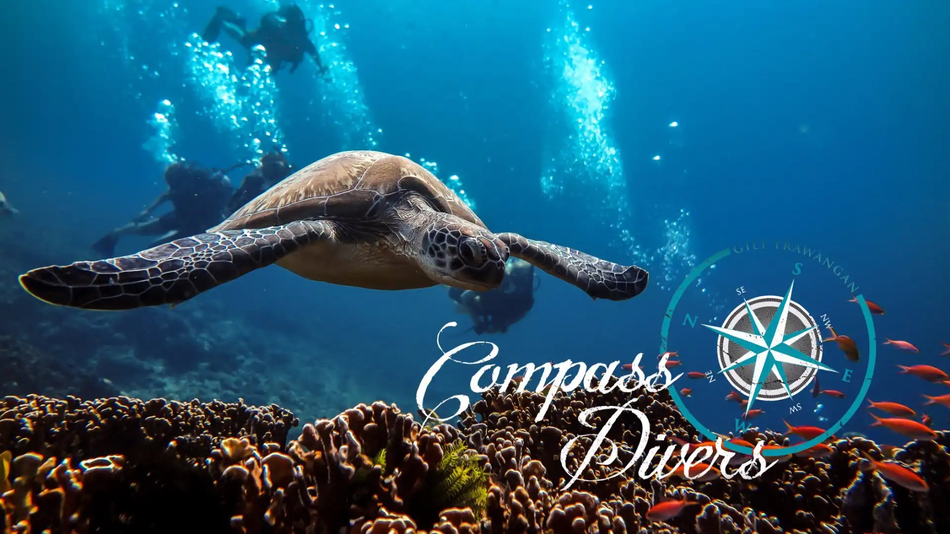 鄰近Compass Divers的酒店