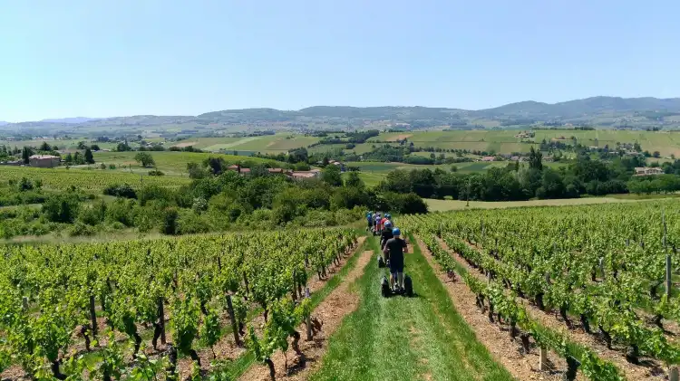 فنادق في Lachassagne