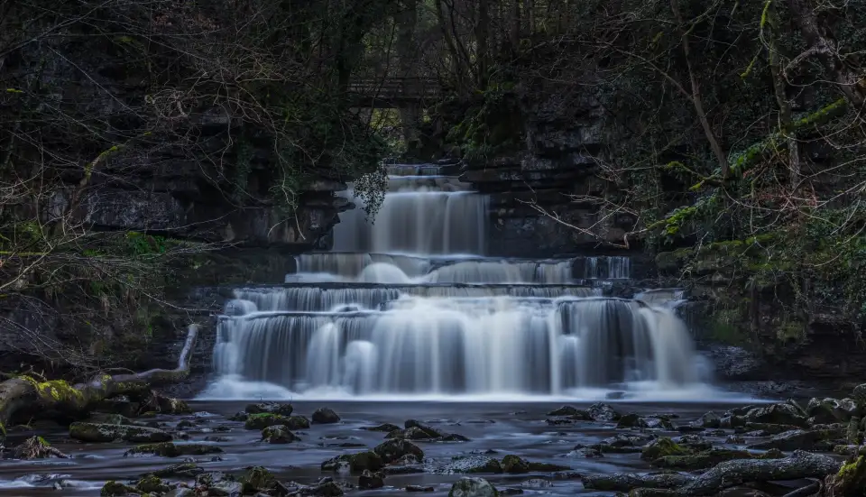 2_Cotter Force