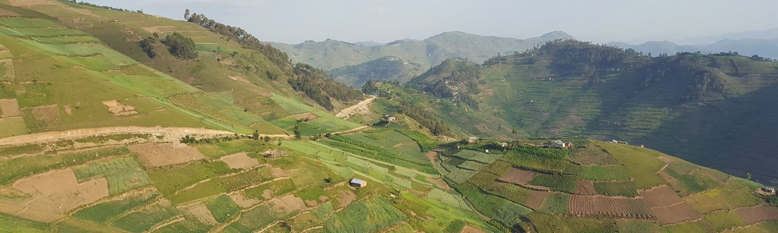 travel