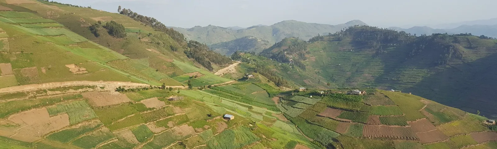 KisoroTour giornalieri