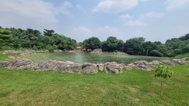 Araguaina