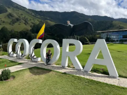Cocora Valley