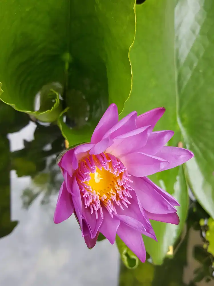 Hà Tĩnh