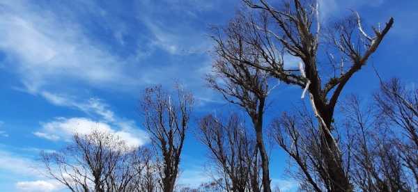 appartamento nella provincia di Nuovo Galles del Sud, Australia