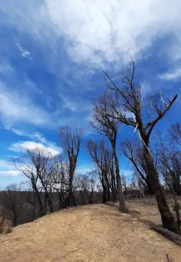 호주 뉴 사우스 웨일즈 소재 5성급 호텔