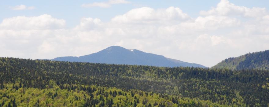 Nadwirna