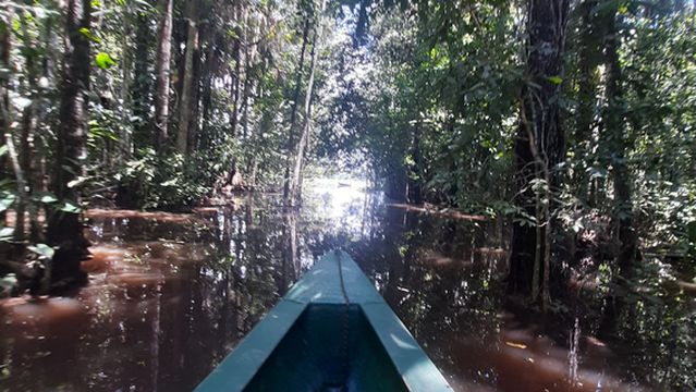 Tambopata Jaguar Expeditions