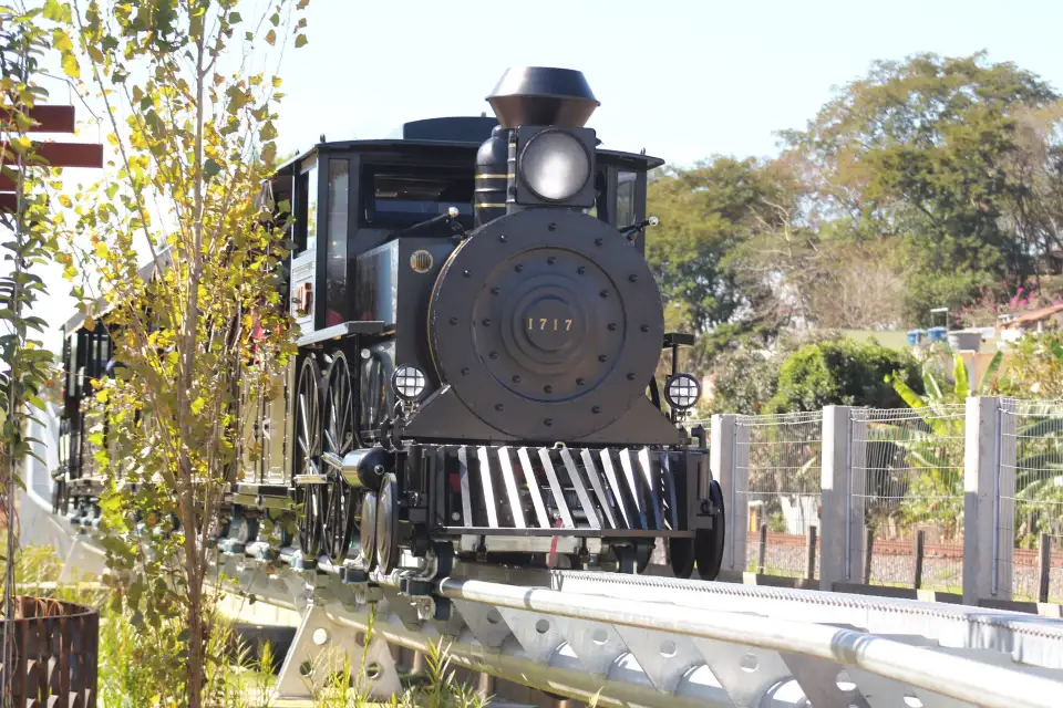 4_Devotee’s Train