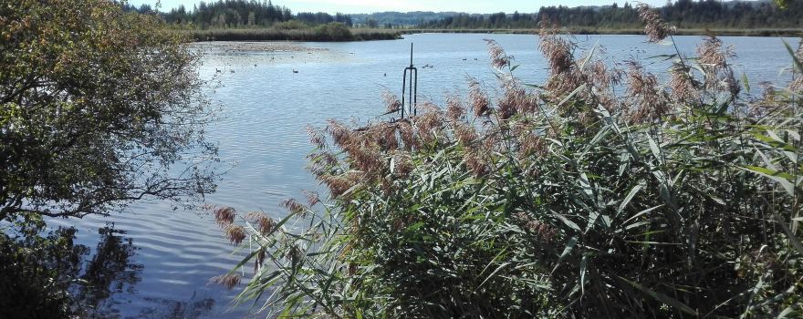 Maisinger See