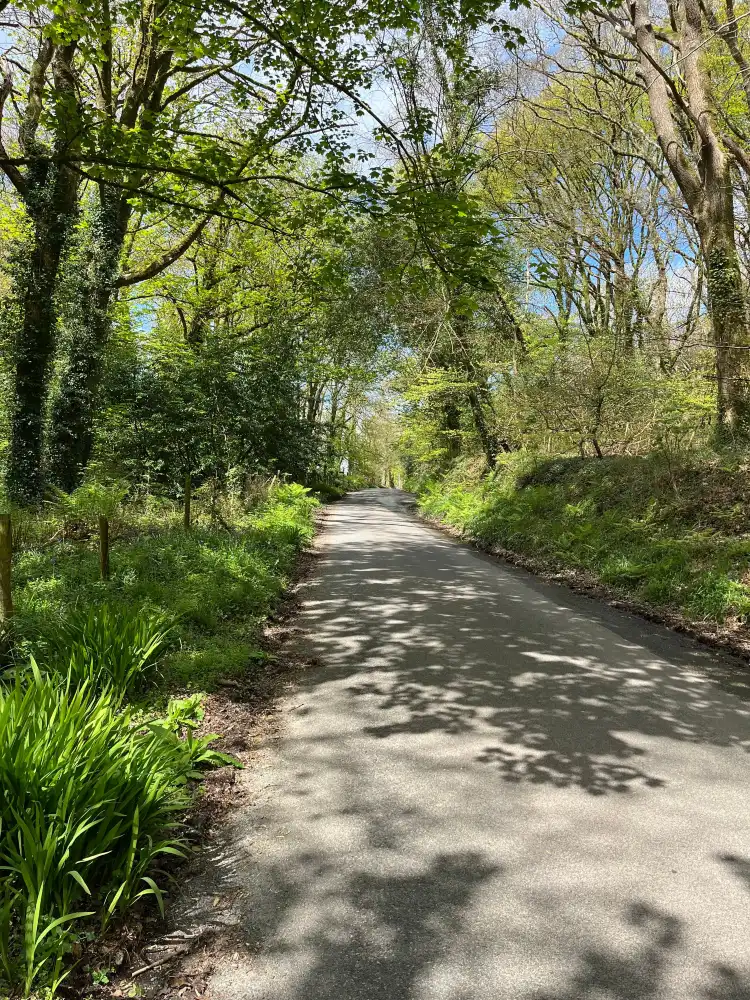 فنادق في Luxulyan