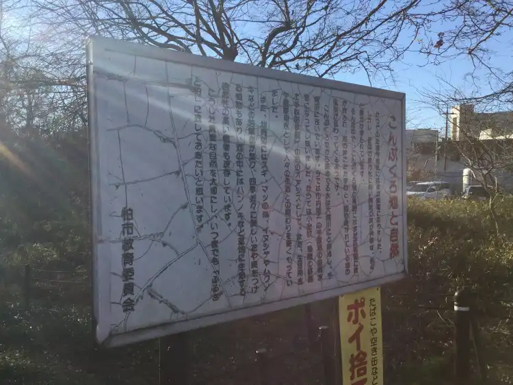 Hotels near Konbukuroikeshizenhakubutsu Park