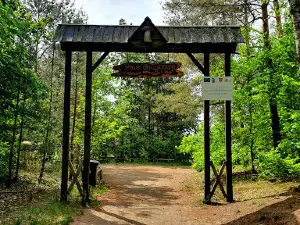 Park Grzybowy