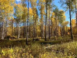 Zolotarevskaya settlement