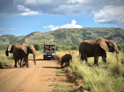 Black Rhino Game Reserve