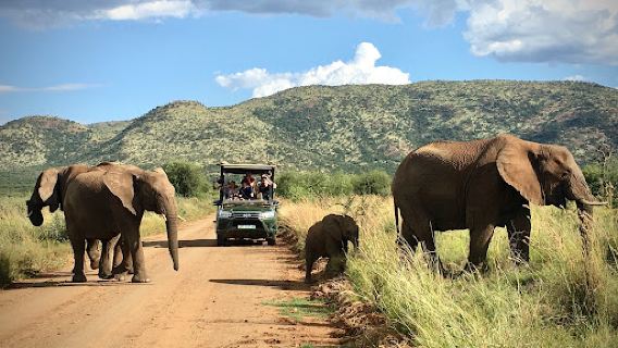 Black Rhino Game Reserve