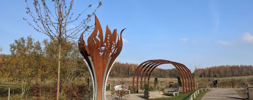 Gedling Country Park