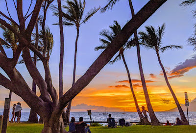 Kamaole Beach Park I