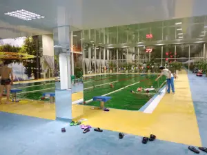 Vsk "Yunistʹ"